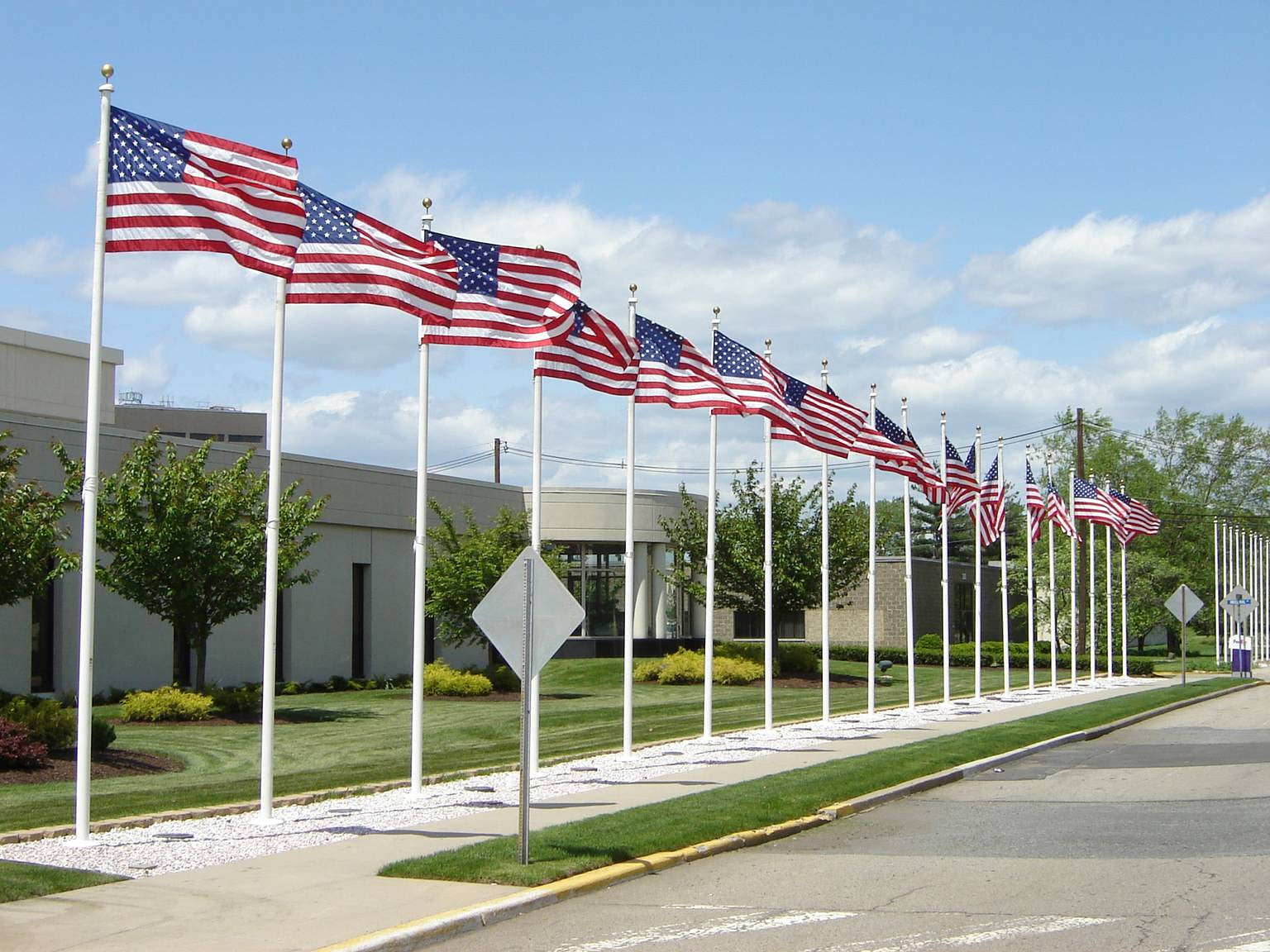 What Are the Most Important/Essential Flagpole Accessories? 
