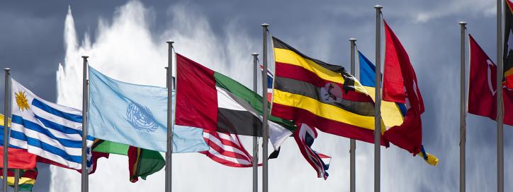 Gates Flag & Banner