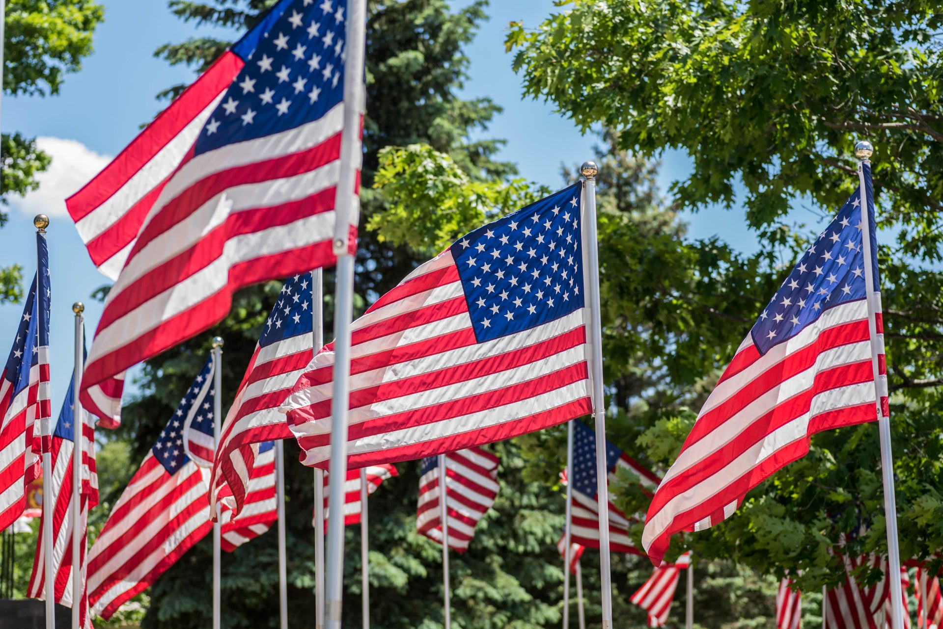 Gates Flag & Banner