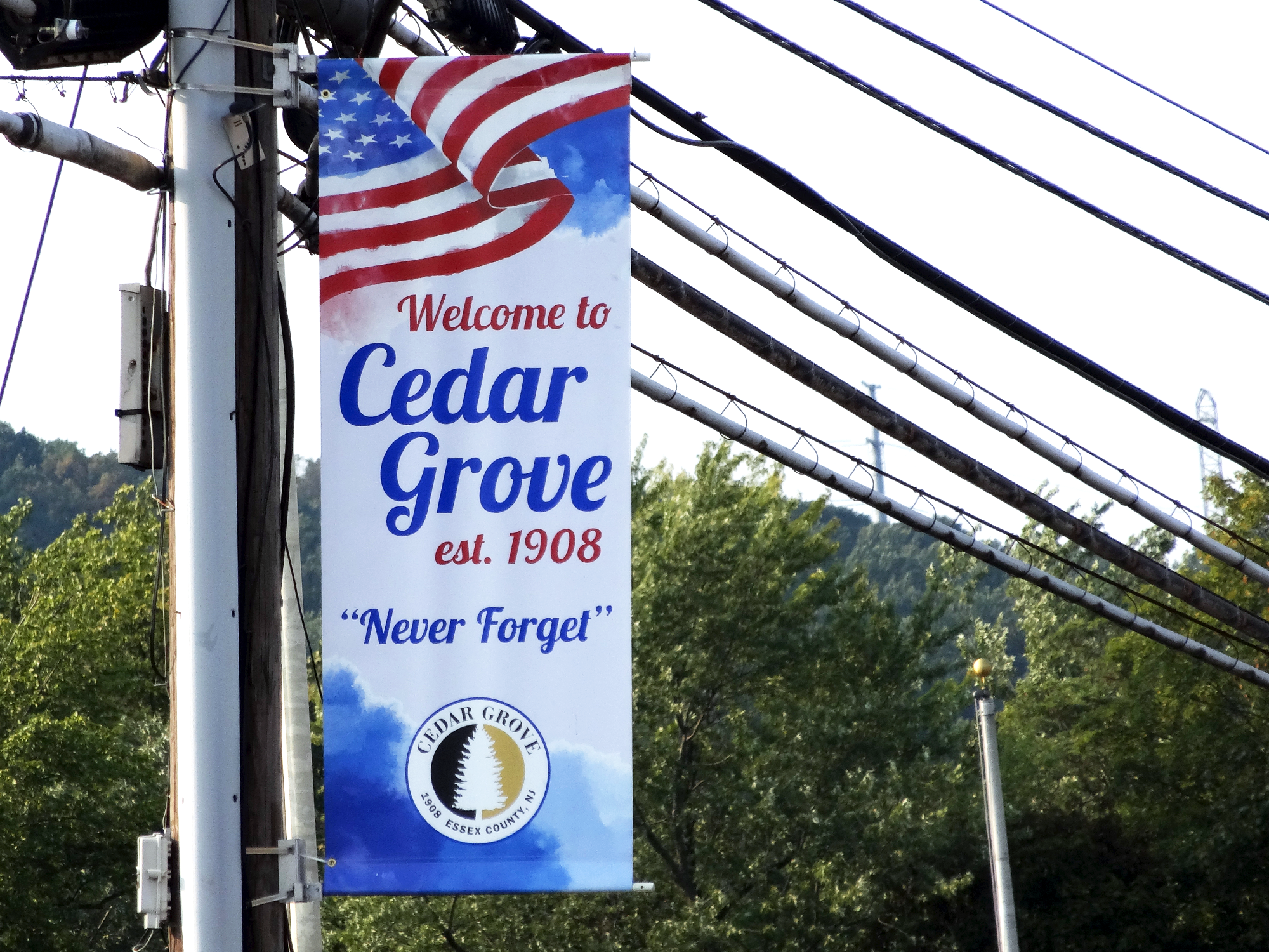 Custom Avenue Lightpole Banners - Gates Flag & Banner