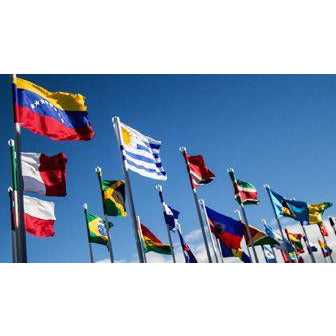 Organization of American States - Set of 35 - Gates Flag & Banner