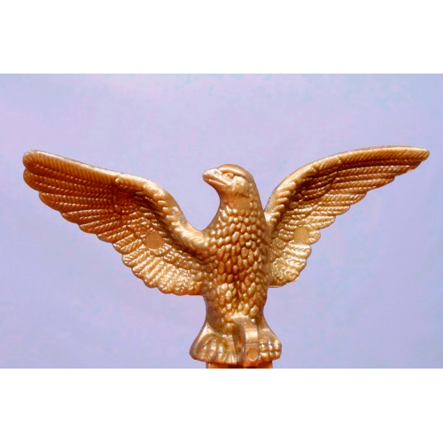 P5 Eagle - Gates Flag & Banner