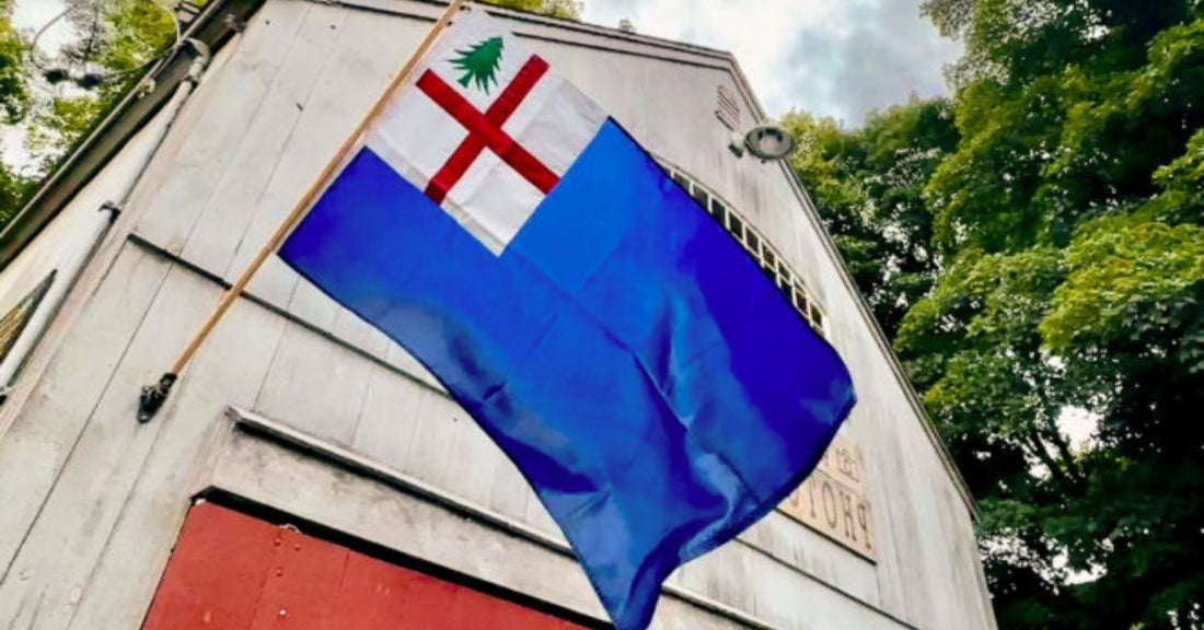 Understanding the Bunker Hill Flag