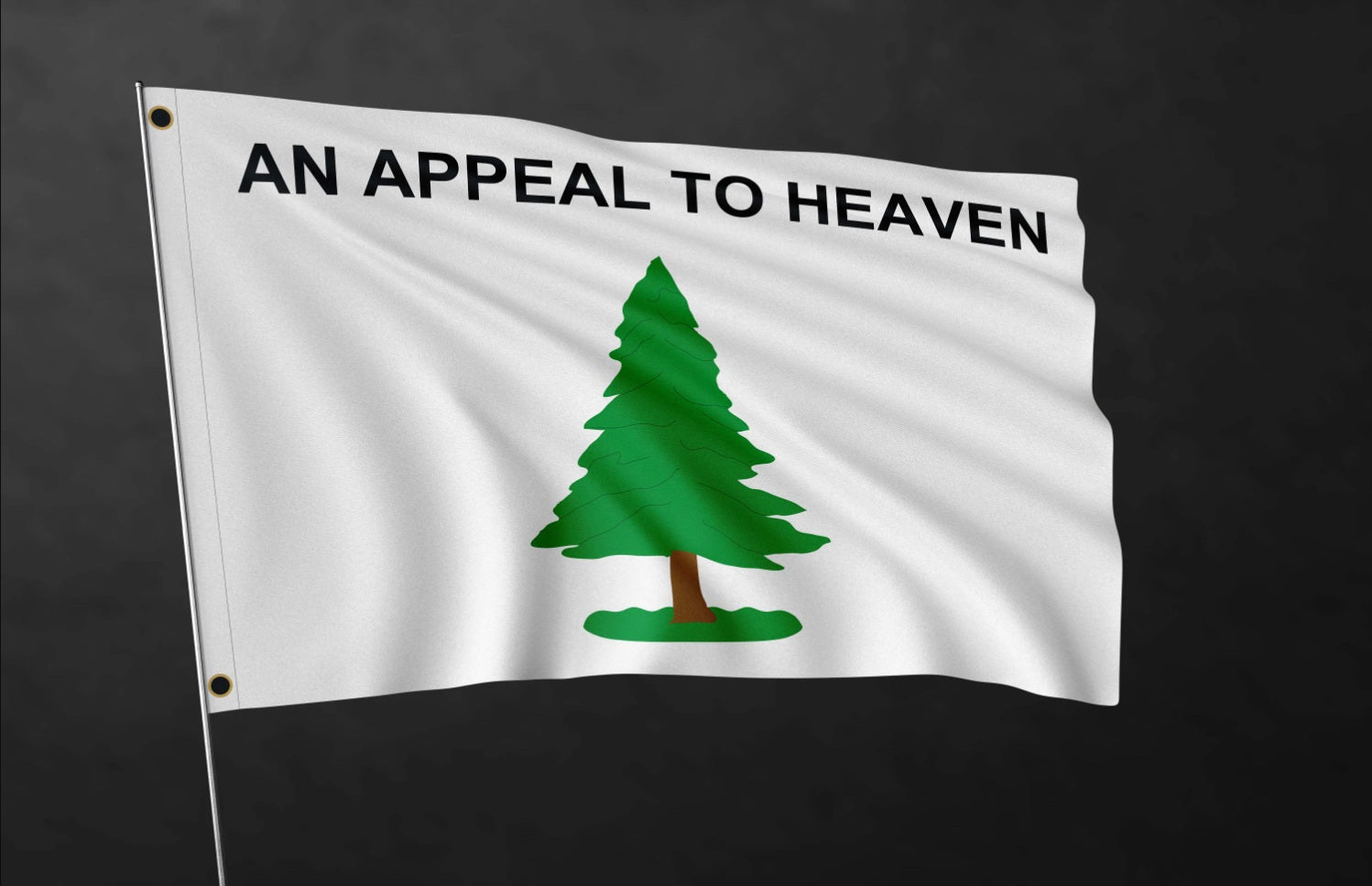 The History of the Washington Cruisers flag