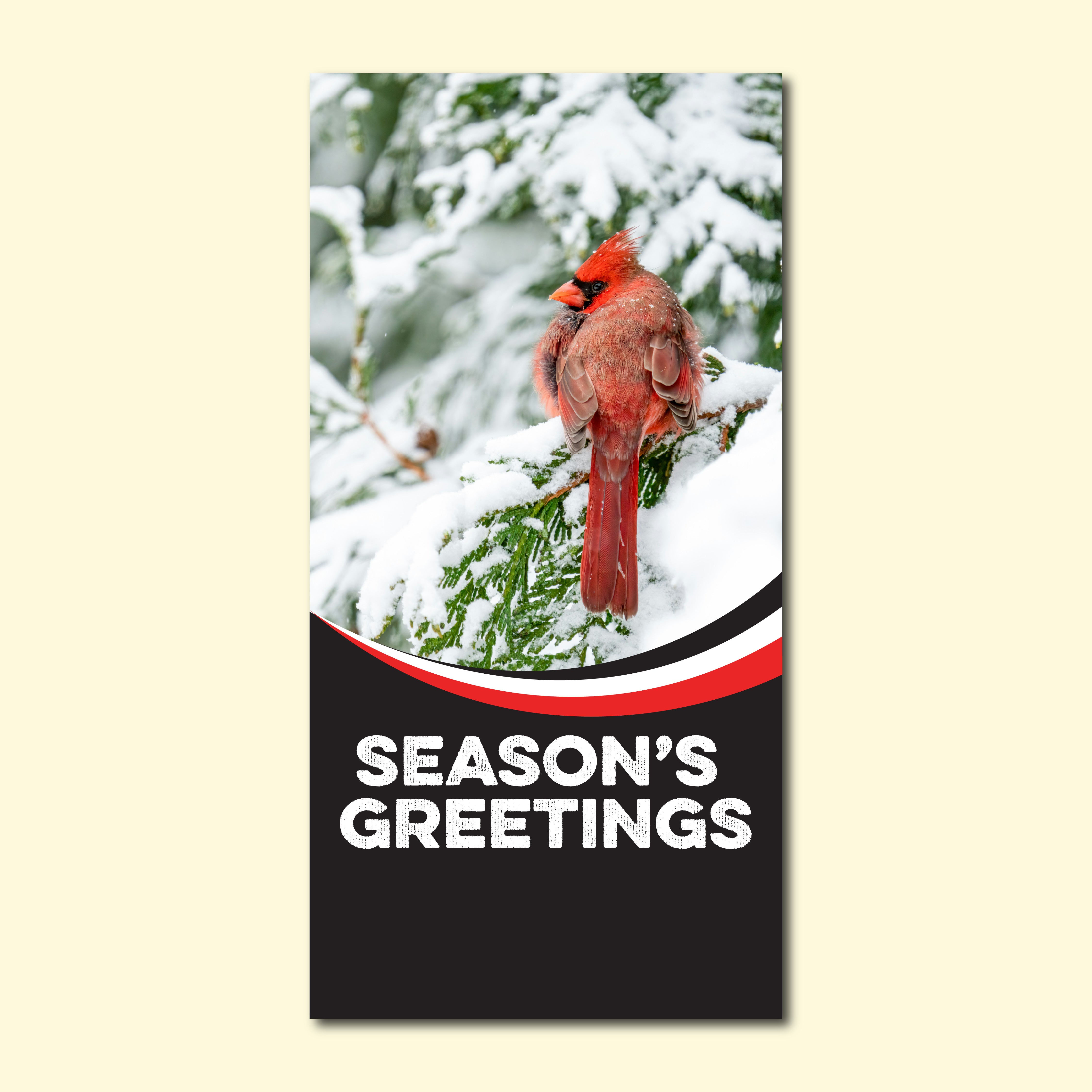 Winter Seasonal Banner - Cardinal