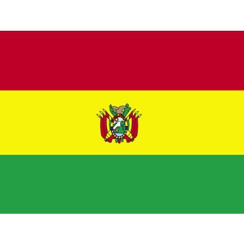 Bolivia Government Flag - Gates Flag & Banner 